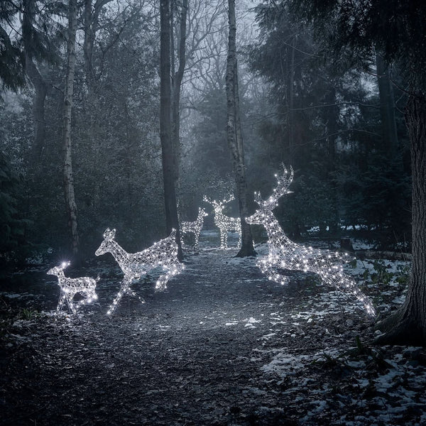 Christmas Set of 5 LED Illuminated Reindeer in Two Colors