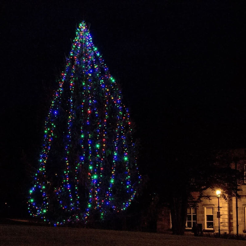 Core Connect Fairy Lights – 80m with Timer and 8 Effects ✨