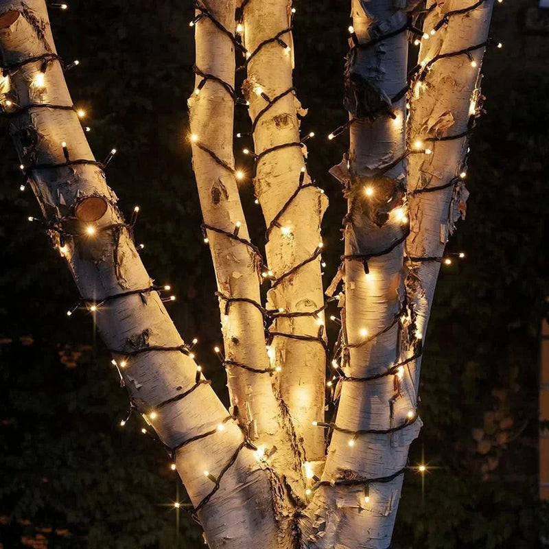 Christmas Fairy Lights IP65 – 50m of Charm and Magic