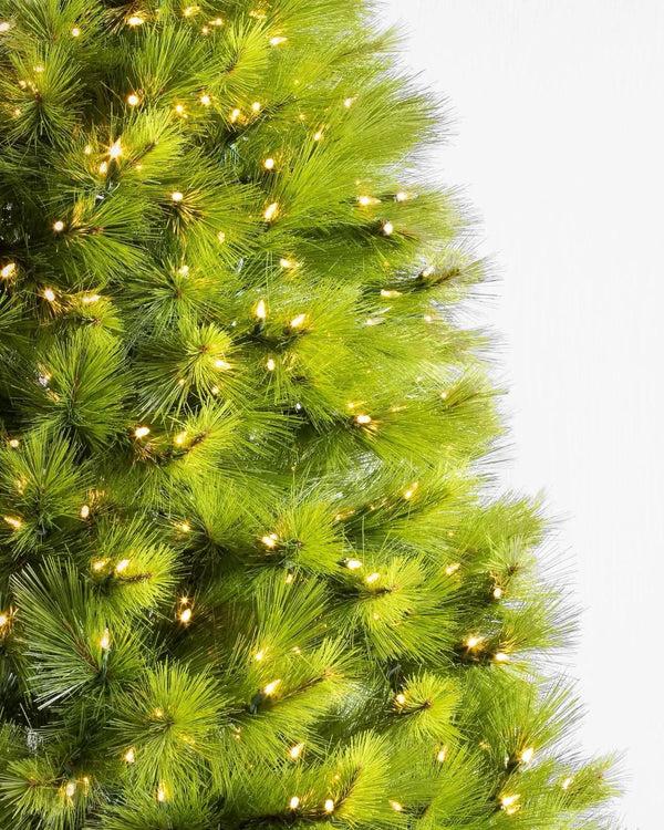 Monterey Pine Green Christmas Tree with Long Branches, Metal Stand, and Built-in Micro LEDs