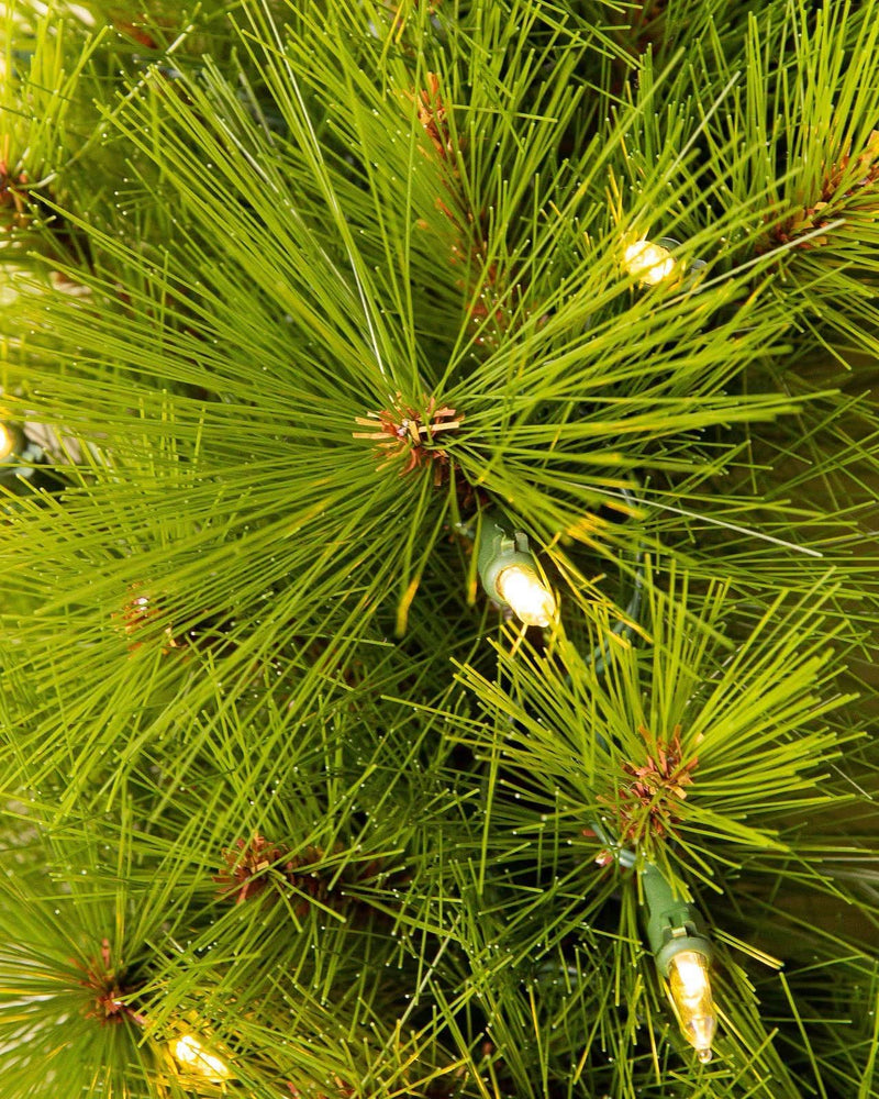 Monterey Pine Green Christmas Tree with Long Branches, Metal Stand, and Built-in Micro LEDs