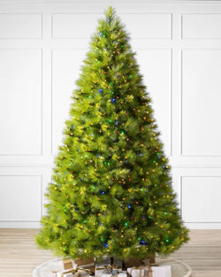 Monterey Pine Green Christmas Tree with Long Branches, Metal Stand, and Built-in Colorful Micro LEDs