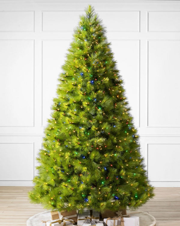 Monterey Pine Green Christmas Tree with Long Branches, Metal Stand, and Built-in Colorful Micro LEDs