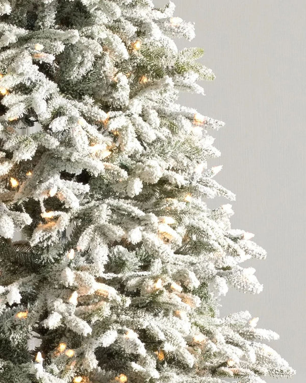 Nevada Frosted Fraser Christmas Tree with Hinged Branches, Metal Stand, and Built-in Micro LEDs