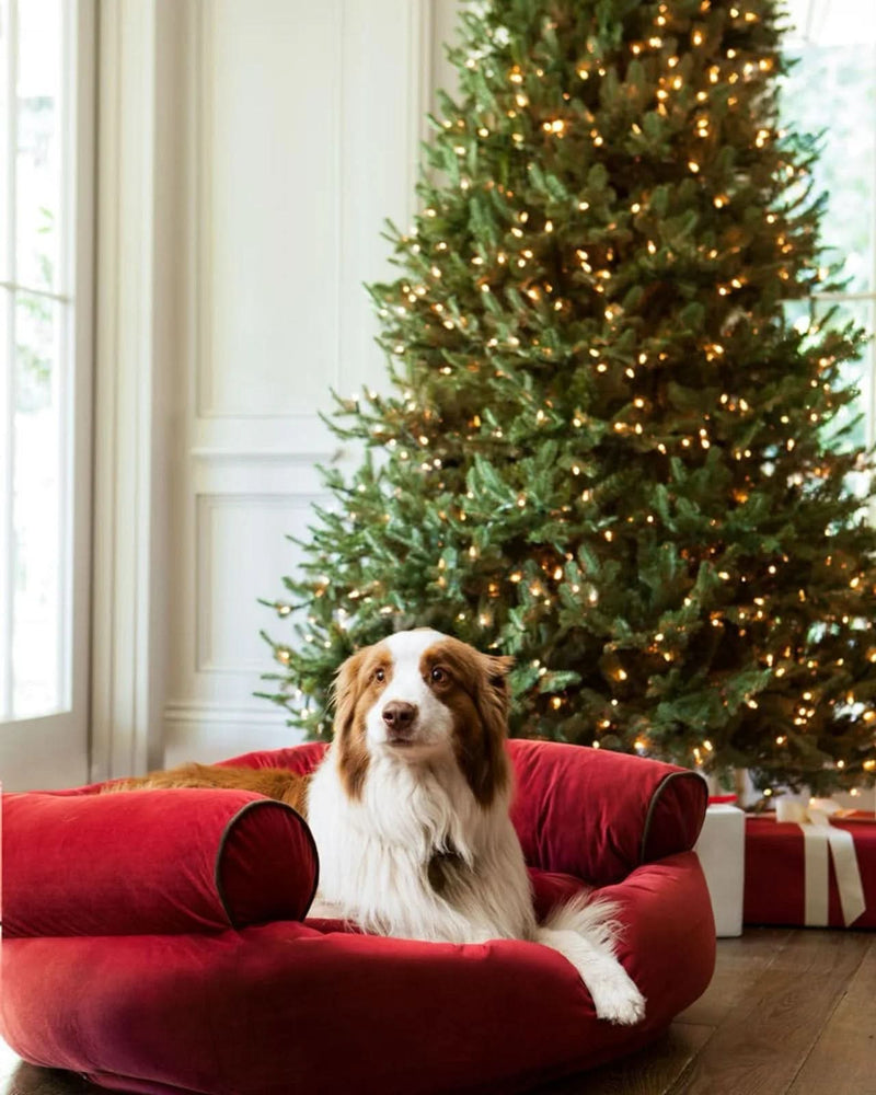 White Spruce Green Christmas Tree with Hinged Branches, Metal Stand, and Built-in Micro LEDs