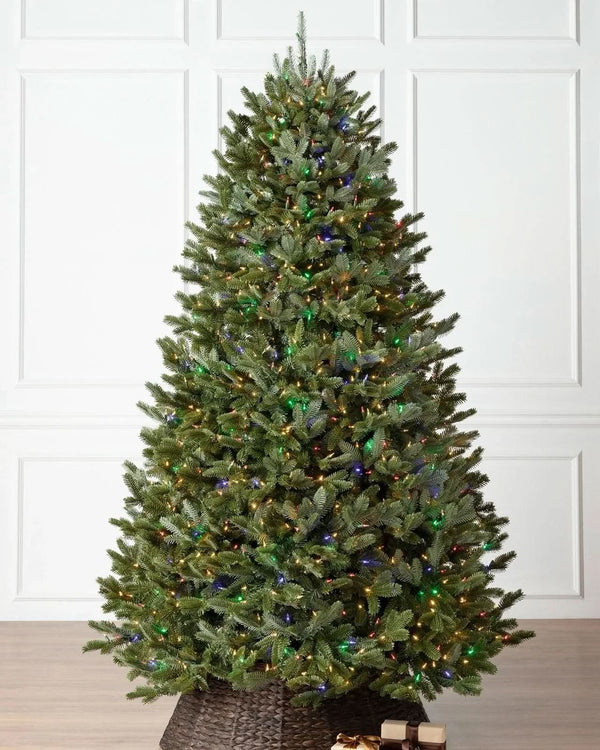 Fraser Fir Christmas Tree with Hinged Branches, Metal Stand, and Built-in Colorful Micro LEDs