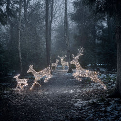 Christmas Set of 5 LED Illuminated Reindeer in Two Colors