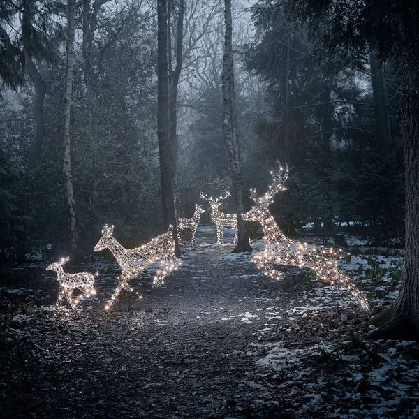 Christmas Set of 5 LED Illuminated Reindeer in Two Colors