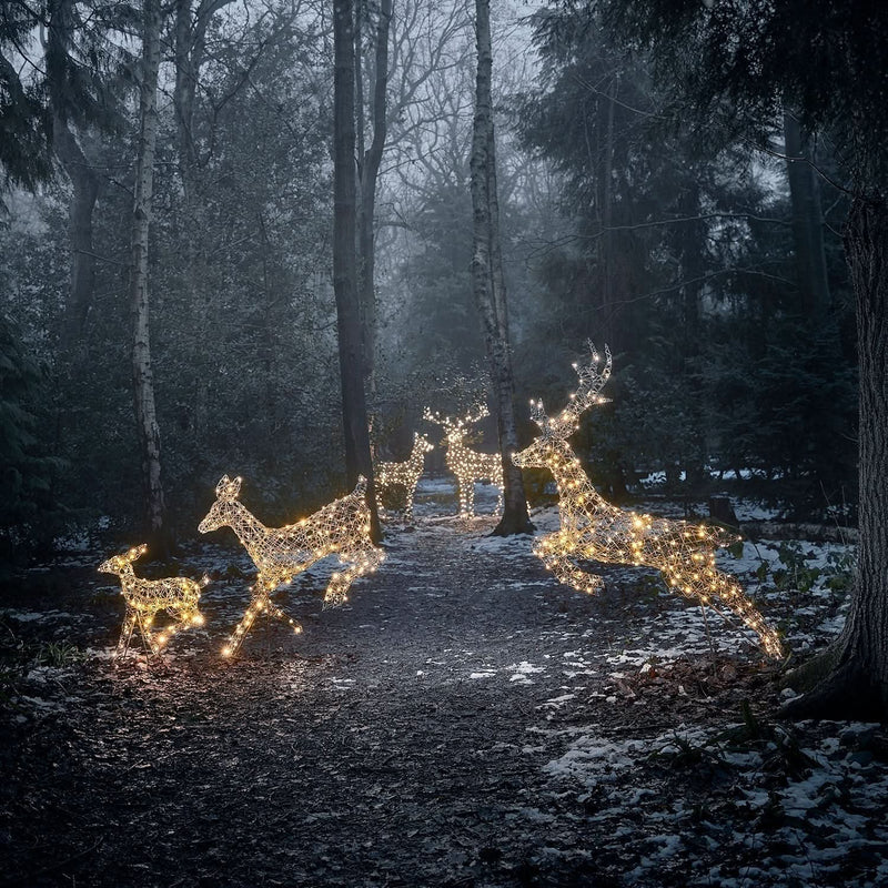 Christmas Set of 5 LED Illuminated Reindeer in Two Colors